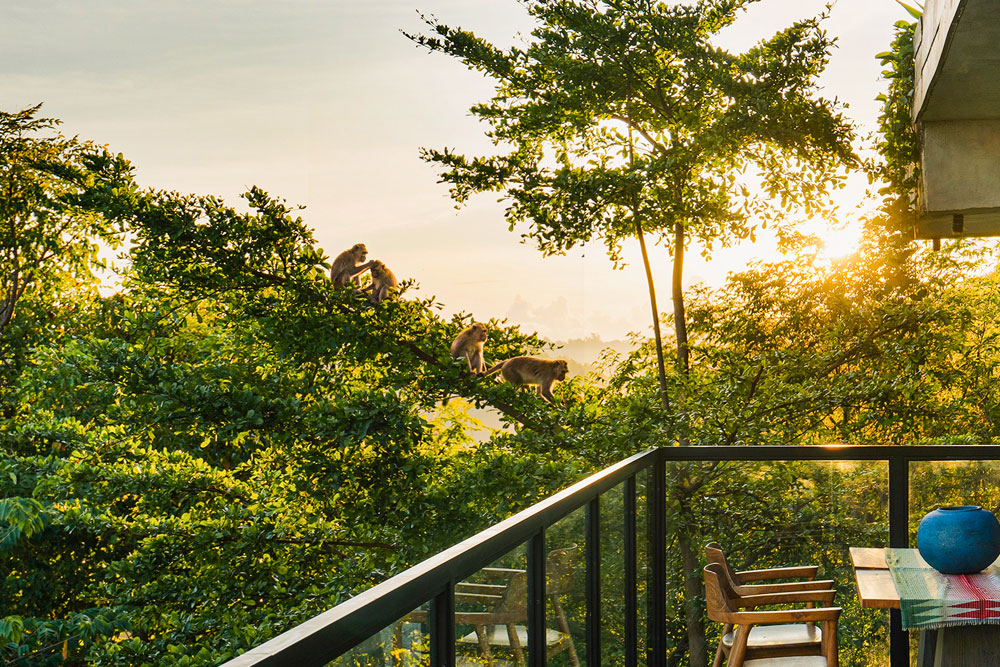 Two-Bedroom-Duplex-Pool-Villa-with-Valley-View-(Edited)